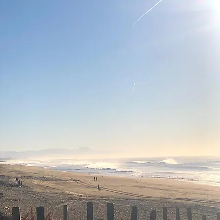 Maison Entre Foret Et Ocean - Piscine Et Tennis * Ondres